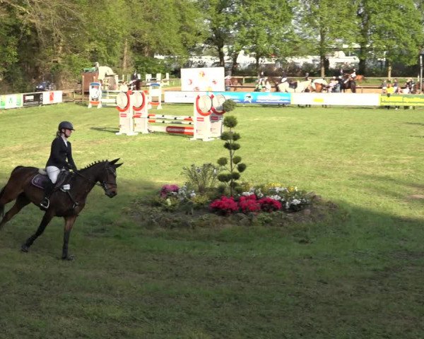 Reitturnier Meppen 2023