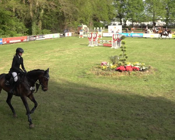 Reitturnier Meppen 2023