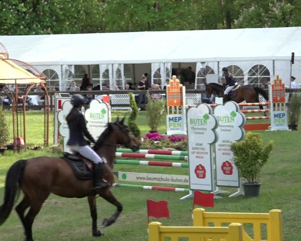 Reitturnier Meppen 2023