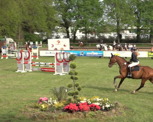 Reitturnier Meppen 2023