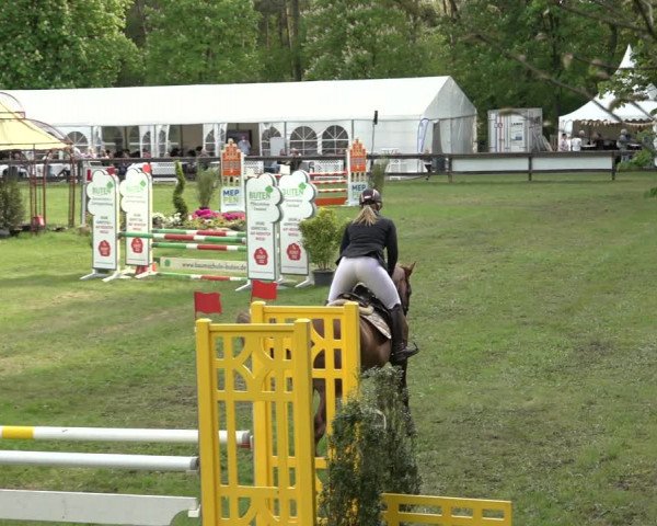 Reitturnier Meppen 2023