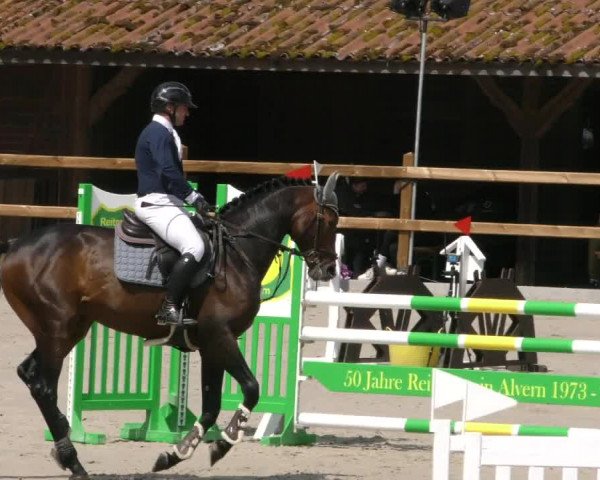 Reitturnier Alvern 2023