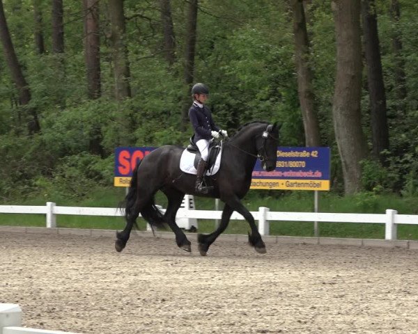 Reitturnier Meppen 2023
