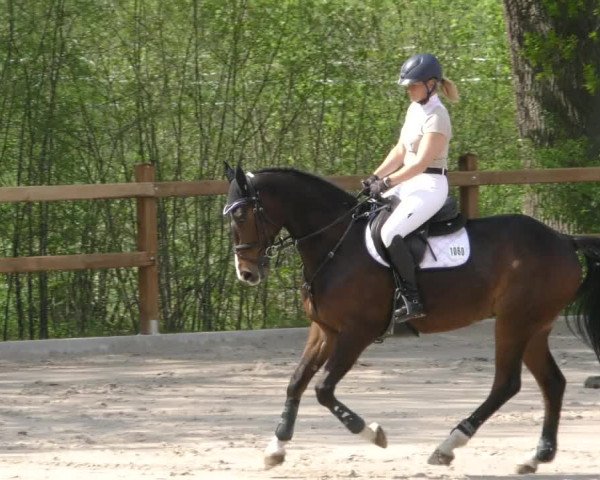 Reitturnier Alvern 2023