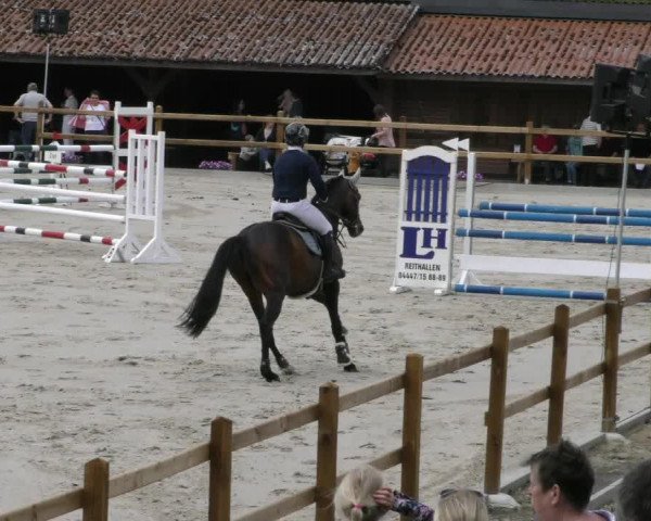 Reitturnier Alvern 2023