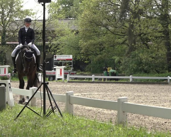 Reitturnier Meppen 2023