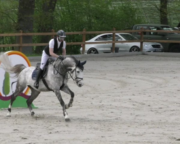 Reitturnier Alvern 2023