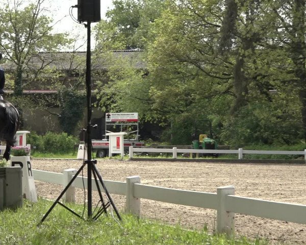 Reitturnier Meppen 2023