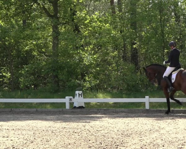 Reitturnier Meppen 2023