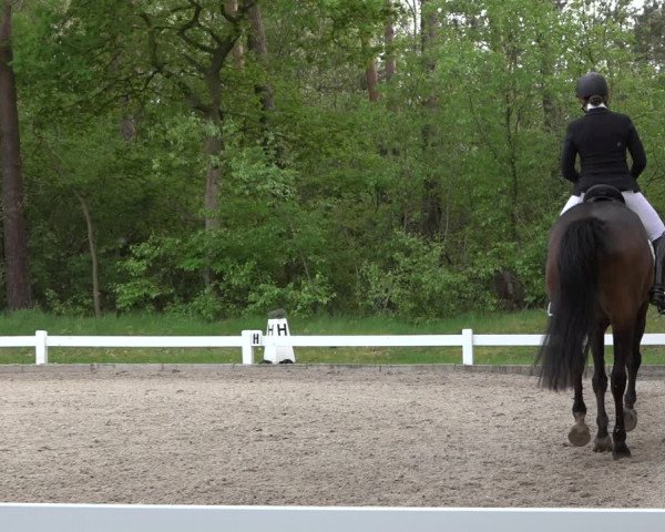 Reitturnier Meppen 2023