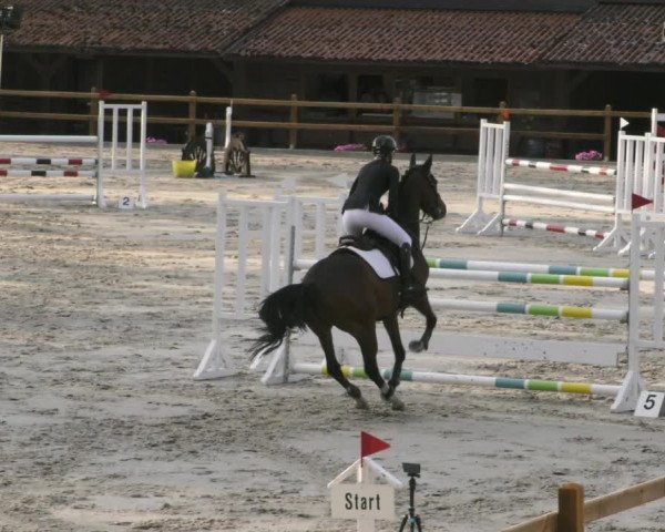 Reitturnier Alvern 2023
