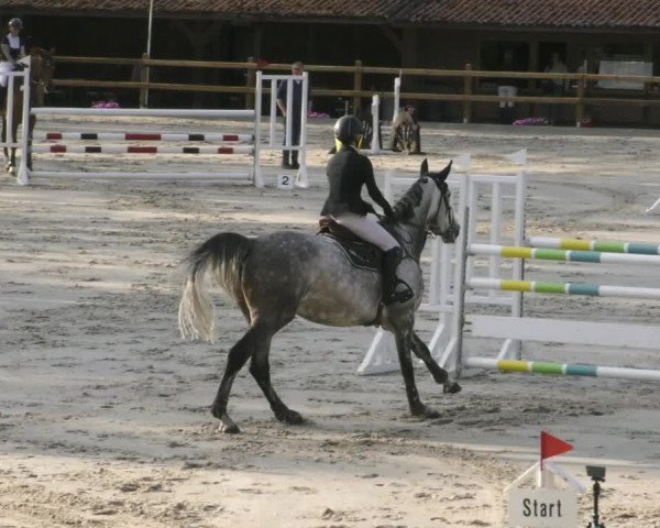 Reitturnier Alvern 2023