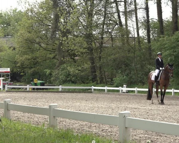 Reitturnier Meppen 2023