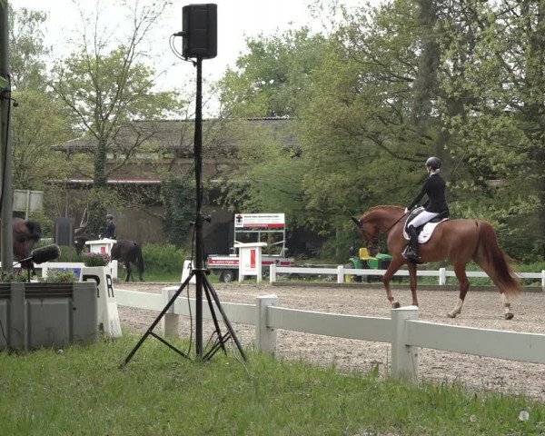 Reitturnier Meppen 2023