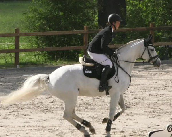 Reitturnier Alvern 2023