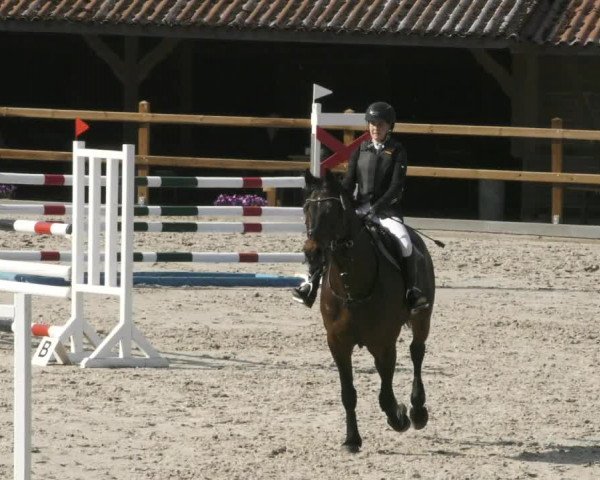 Reitturnier Alvern 2023