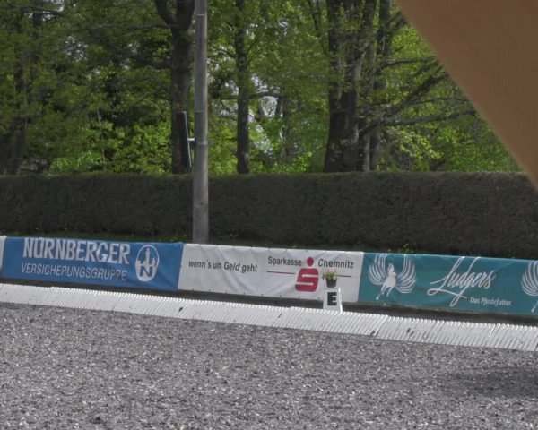 Reitturnier Röhrsdorf/ Chemnitz 2023