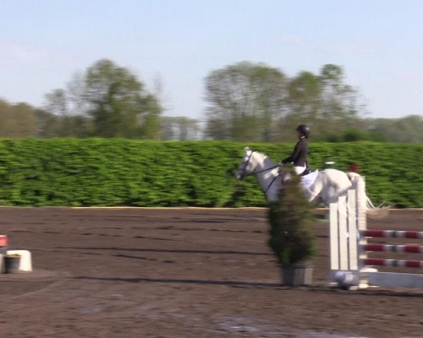 Reitturnier Lentzke - Reitanlage Krehl 2023