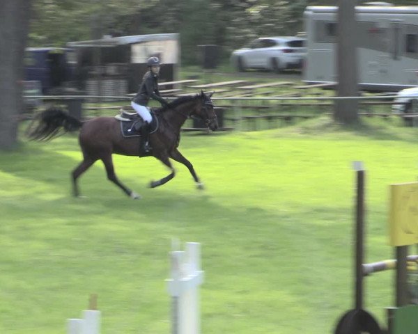 Reitturnier Helmsdorf 2023