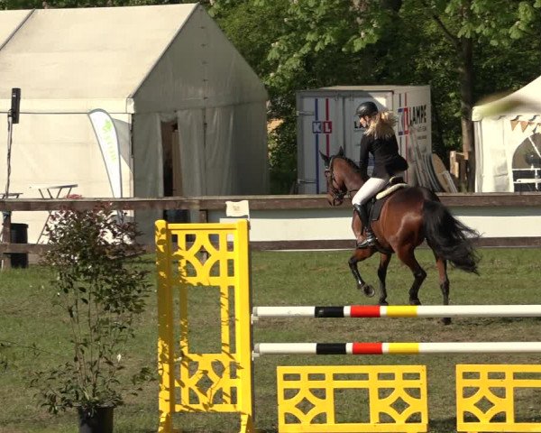 Reitturnier Meppen 2023