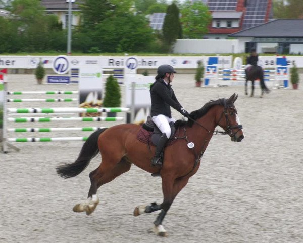 Reitturnier Babenhausen 2023