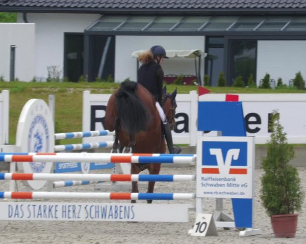 Reitturnier Babenhausen 2023