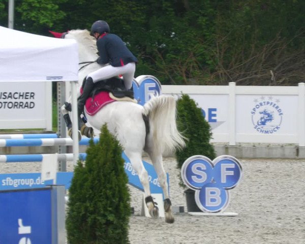 Reitturnier Babenhausen 2023
