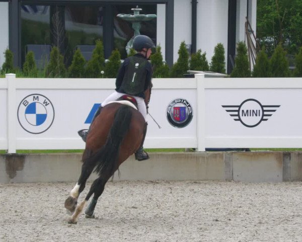Reitturnier Babenhausen 2023