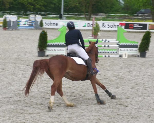 Reitturnier Babenhausen 2023