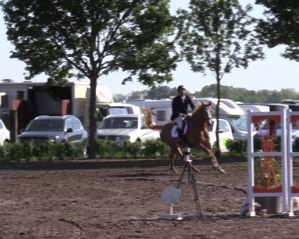 Reitturnier Lentzke - Reitanlage Krehl 2023