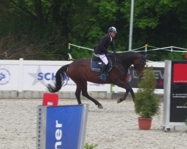 Reitturnier Babenhausen 2023