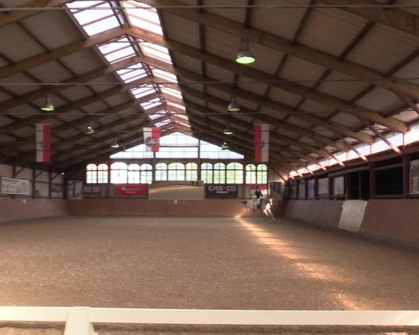 Reitturnier Elisenau 2021
