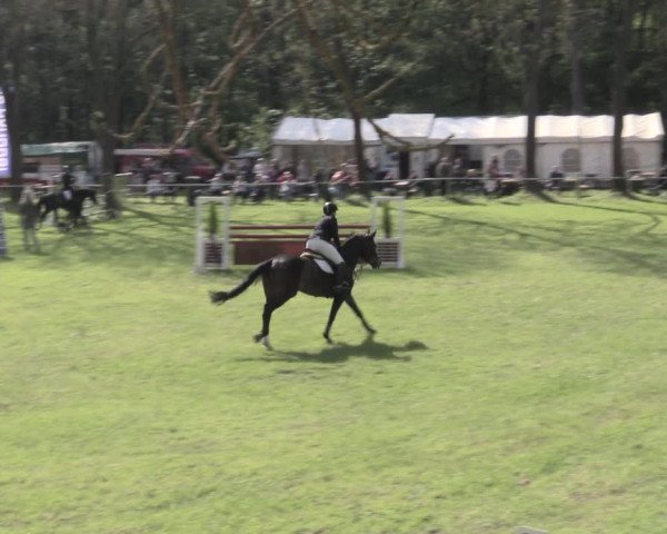 Reitturnier Helmsdorf 2023