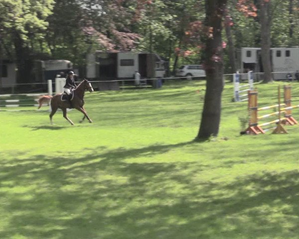 Reitturnier Helmsdorf 2023