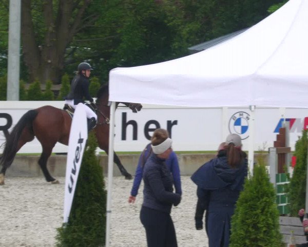 Reitturnier Babenhausen 2023