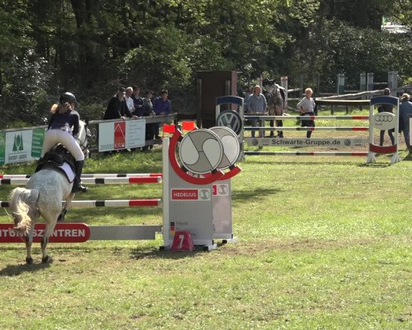 Reitturnier Meppen 2023