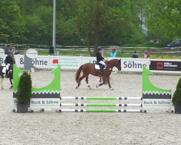 Reitturnier Babenhausen 2023
