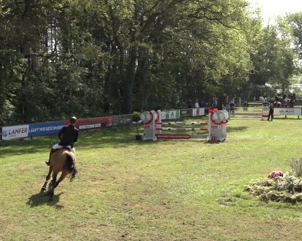 Reitturnier Meppen 2023