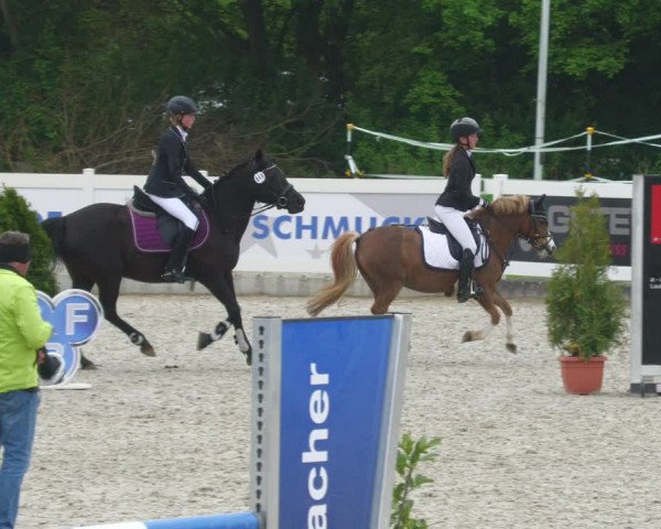 Reitturnier Babenhausen 2023
