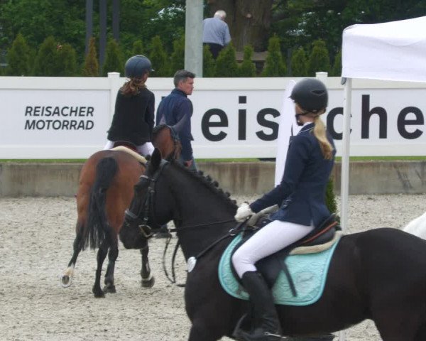 Reitturnier Babenhausen 2023