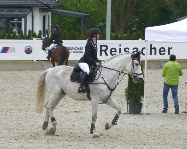 Reitturnier Babenhausen 2023