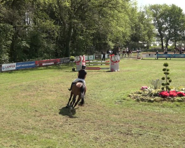 Reitturnier Meppen 2023