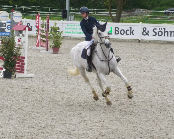 Reitturnier Babenhausen 2023