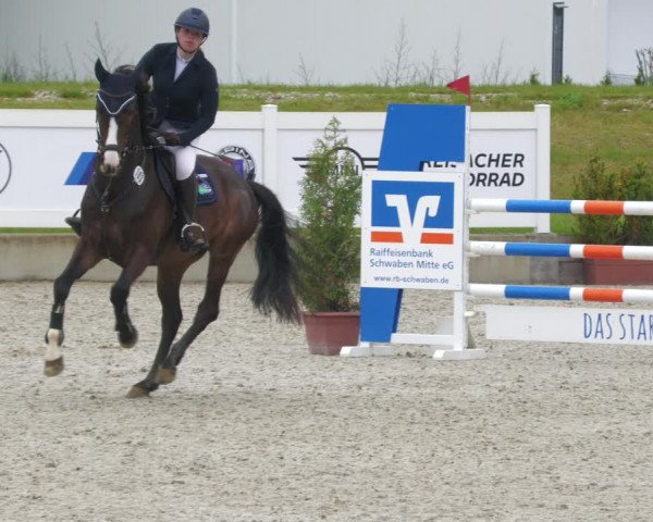 Reitturnier Babenhausen 2023