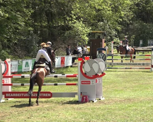 Reitturnier Meppen 2023