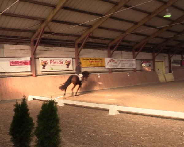 Reitturnier Elisenau 2021