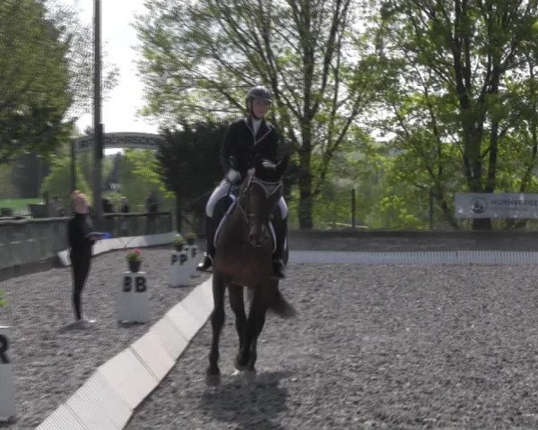Reitturnier Röhrsdorf/ Chemnitz 2023