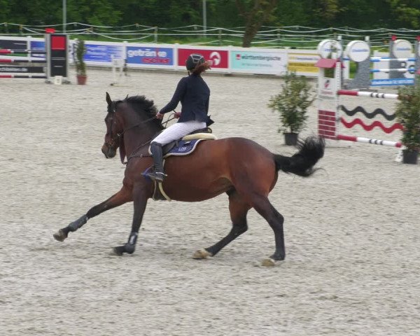 Reitturnier Babenhausen 2023