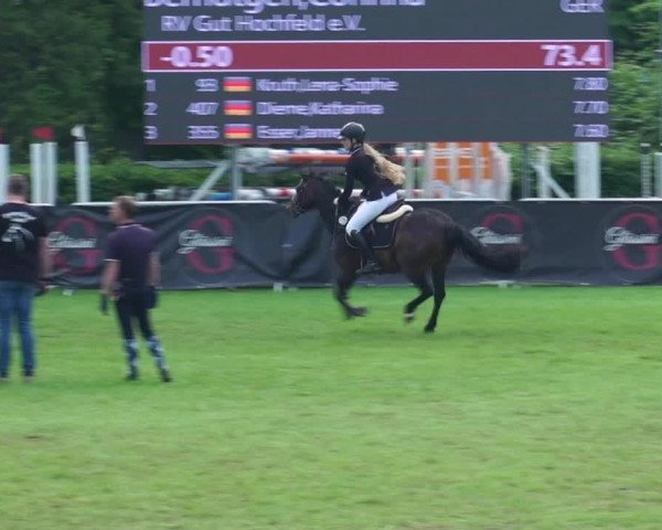 Reitturnier Jülich 2023