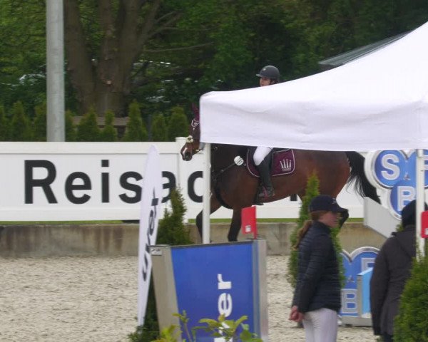 Reitturnier Babenhausen 2023